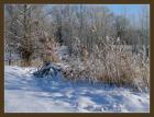 «Зимний пейзаж» — претендующее
• Жанр: пейзаж 
• Автор: Alexandr Janjushkin (28) 
• (Дополнительной информации нет.) 
• Просмотры: 2730 
• Комментарии: 0 
• Оценка: 0 (оценивали: 0)