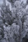 «Зима» — претендующее
• Жанр: природа 
• Автор: Sergey Klimov (1) 
• (Дополнительной информации нет.) 
• Просмотры: 1861 
• Комментарии: 0 
• Оценка: 0 (оценивали: 0)